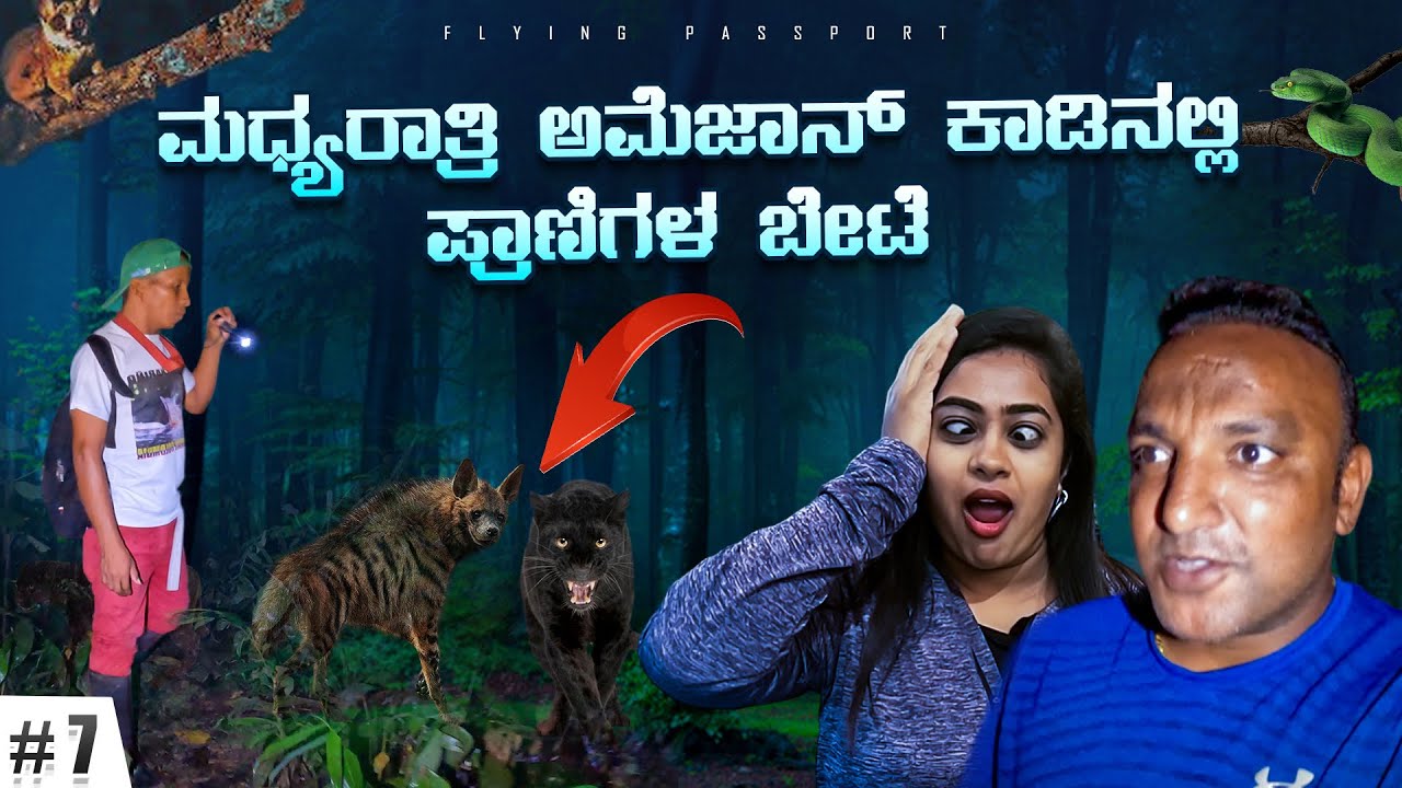 ಮಧ್ಯರಾತ್ರಿ 1 ಗಂಟೆಗೆ ಅಮೆಜಾನ್ ಕಾಡಿನಲ್ಲಿ ಪ್ರಾಣಿಗಳ ಬೇಟೆ 🐅🐍🦧 | Amazon Jungle | Flying Passport