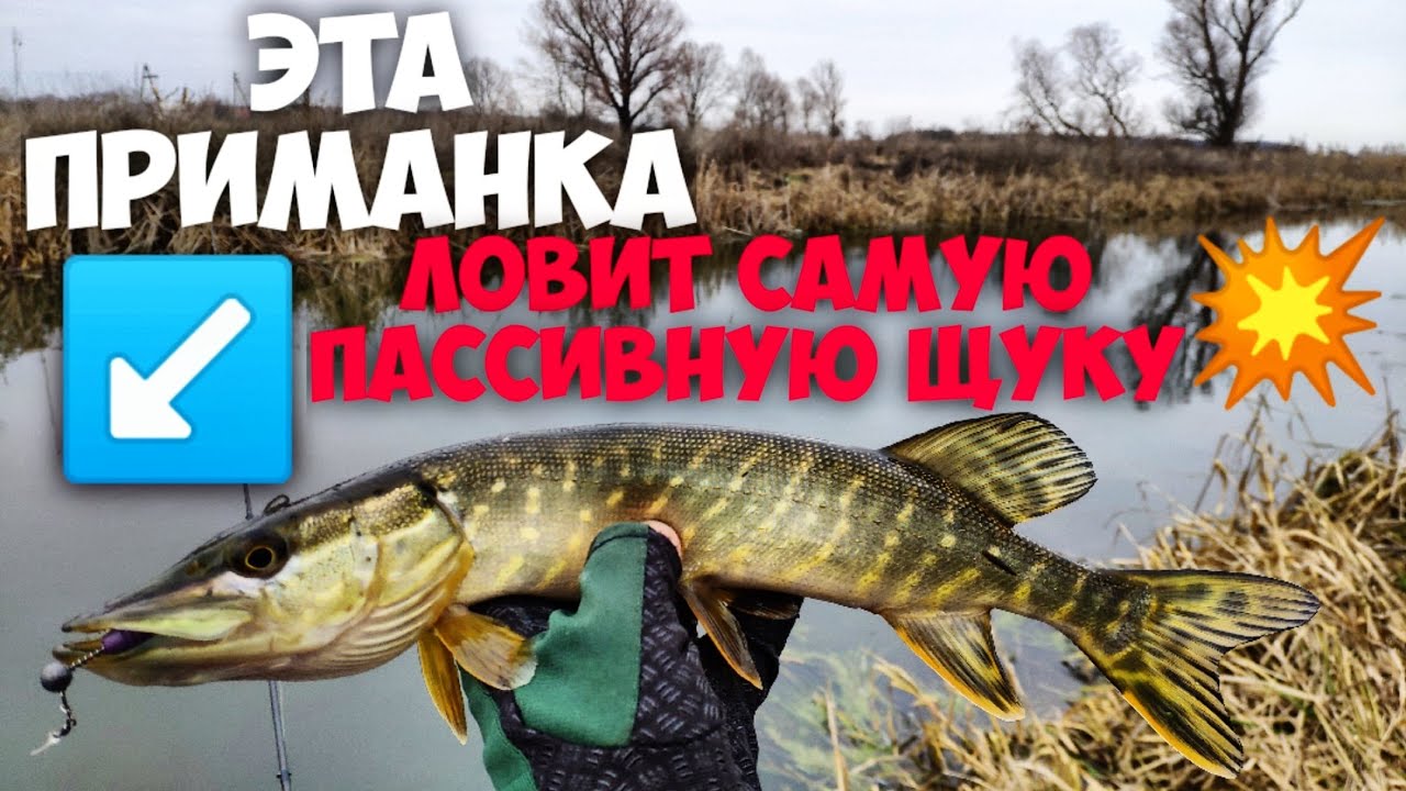 Начались морозы, а щука клюёт 🔥 Ультралайт Tict Sram ловля щуки. Рыбалка 2021.