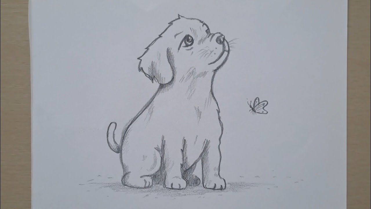 Cómo dibujar un perrito con la mirada tierna - tutorial de dibujo paso a paso