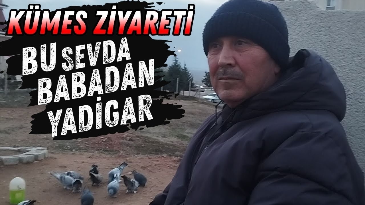 Kümes Ziyareti Babadan gelen tecrübe ve deneyim 