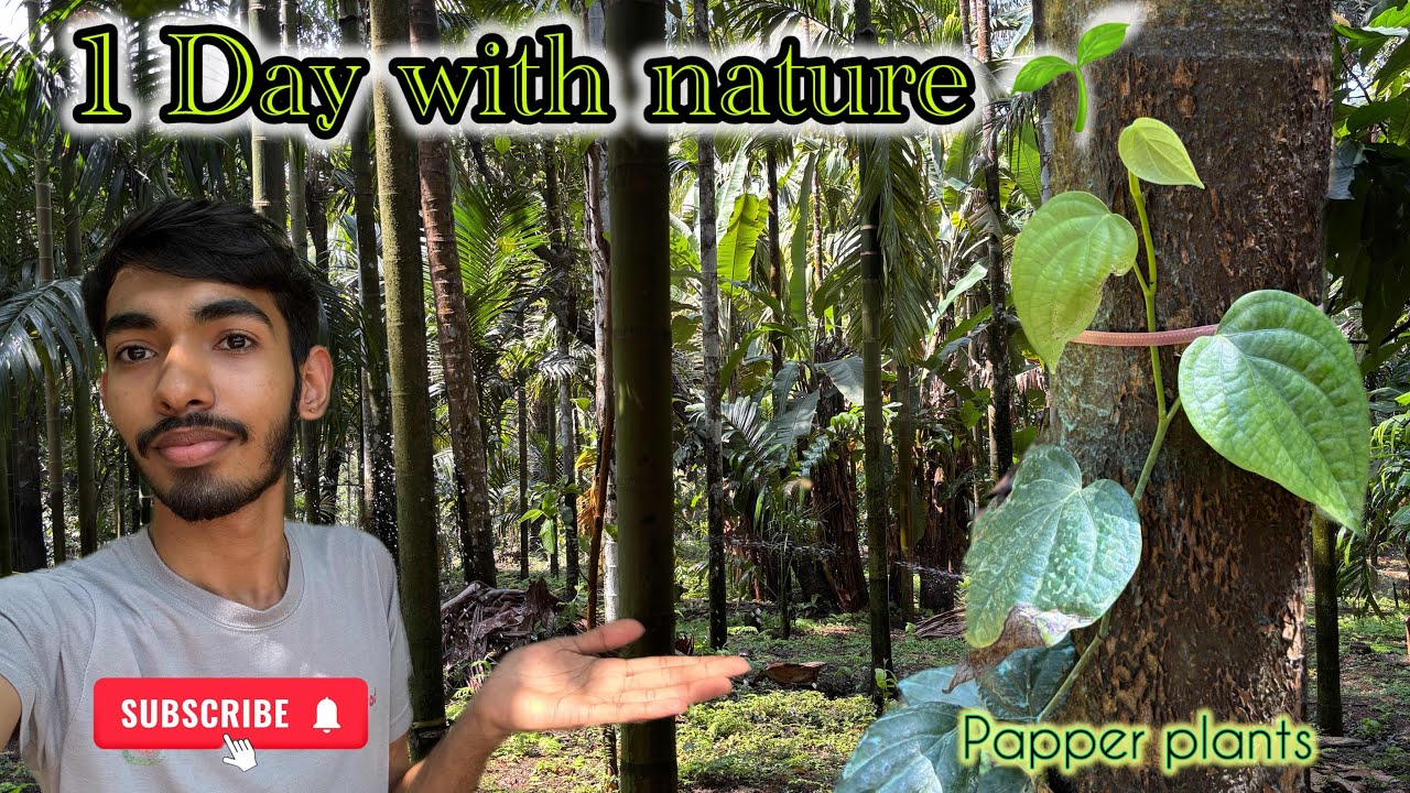 1 Day with nature 🌱#viral #youtube #nature #ytchannel 