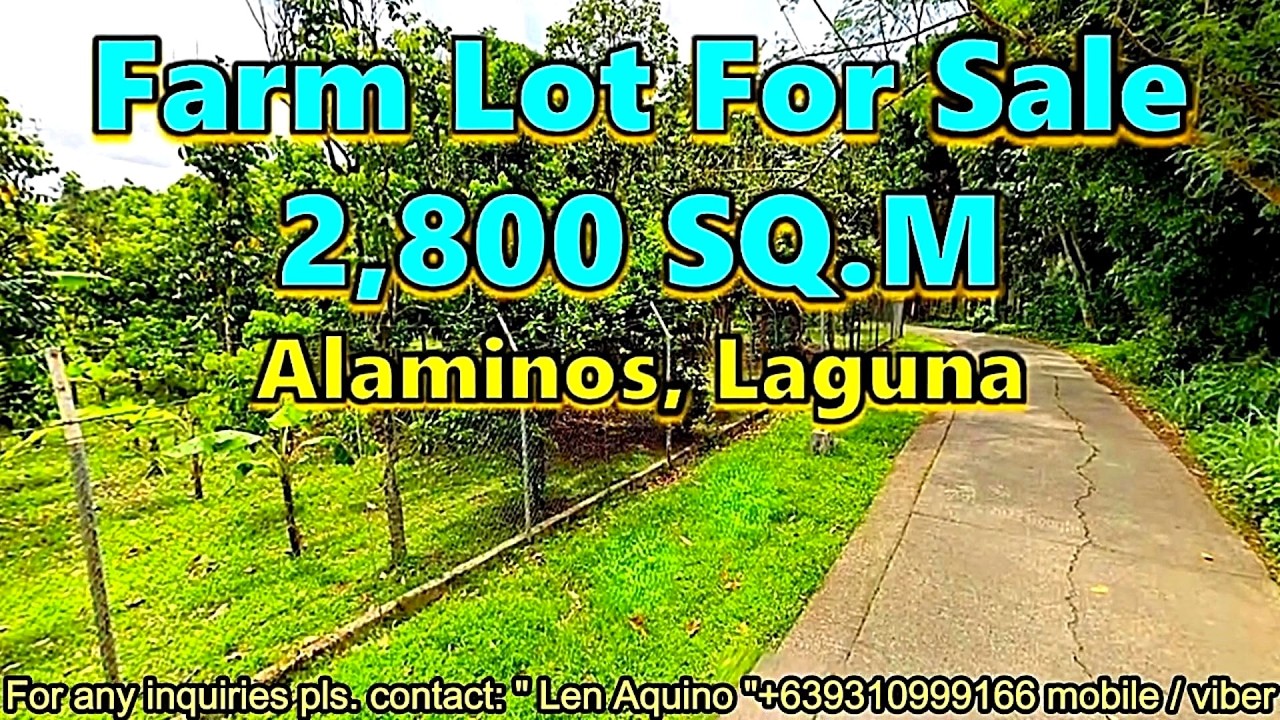 FARM LOT FOR SALE (PROP# 224) LOCATED IN ALAMINOS, LAGUNA