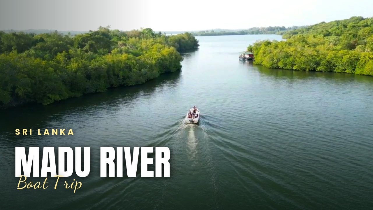 Madu River Boat Safari in Sri Lanka, Secret Temple, Sacred Tooth & Hidden Islands