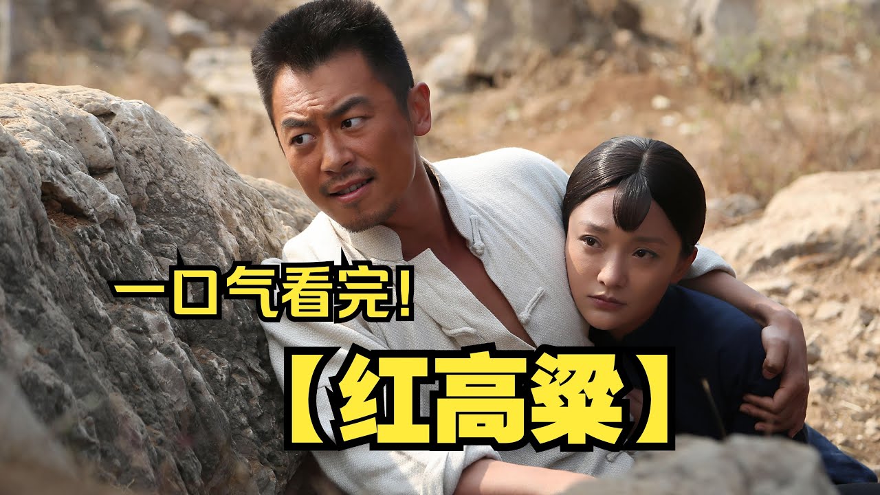 一口气看完【红高粱】全集解说