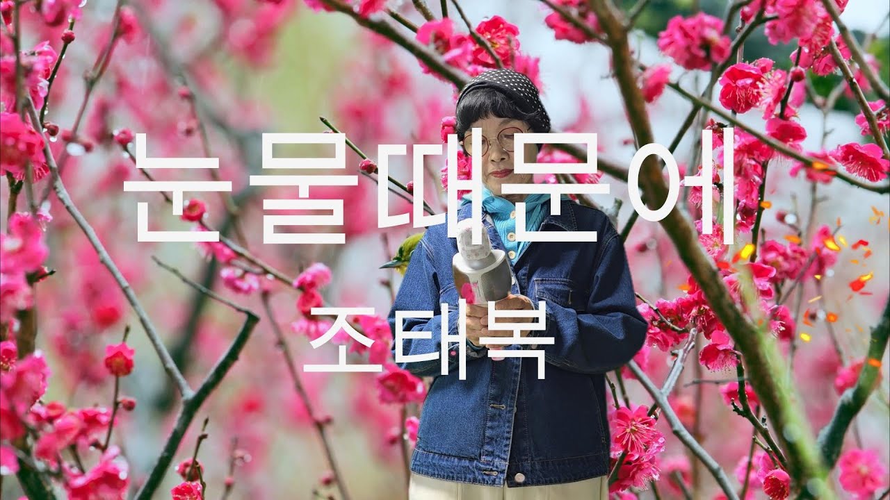 어머님·아버님 세대를 위한 힐링 트로트 🎤 [조태복 – 눈물때문에] (담이유 커버)