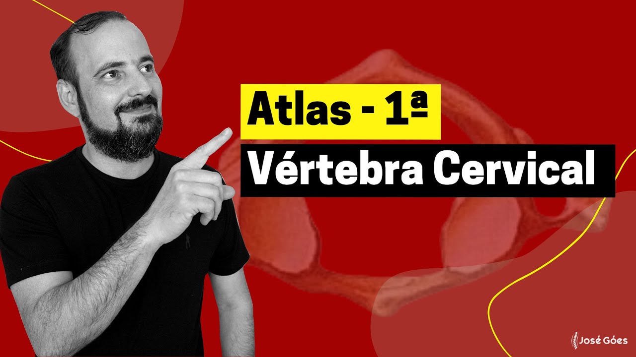 Atlas - 1ª Vértebra Cervical | José Góes