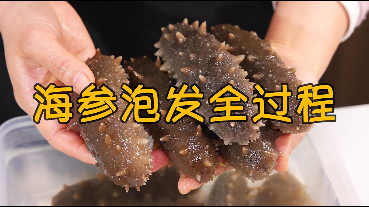 泡发海参有诀窍，牢记2点，一学就会，太实用了