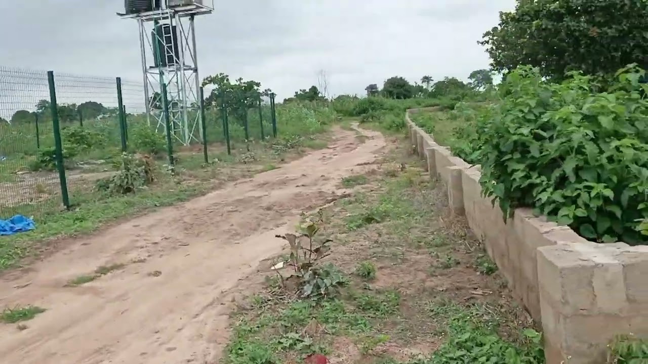 Farmland For Sale