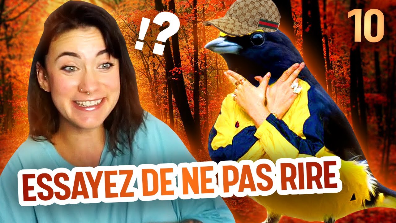 J'AI GAGNÉ ?! - Essayez de ne pas rire #10