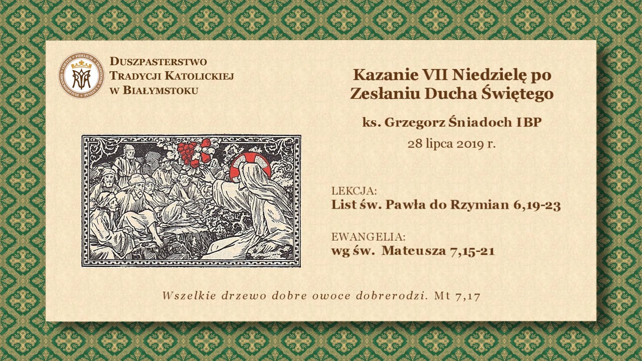 O FAŁSZYWYCH PROROKACH – ks. Grzegorz Śniadoch IBP – 28 lipca 2019 r.