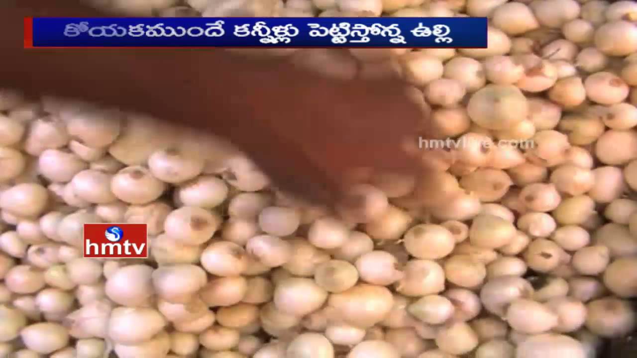 Eyes Tear: Onion Prices Hits High Record in Telugu States | High Food Prices | HMTV