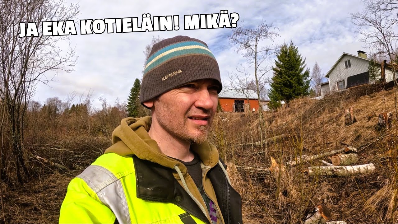 Maatilan viisivuotis suunnitelma. Paljon Ei-pakollisia töitä ja varma juoni majavan tuhoamiseksi