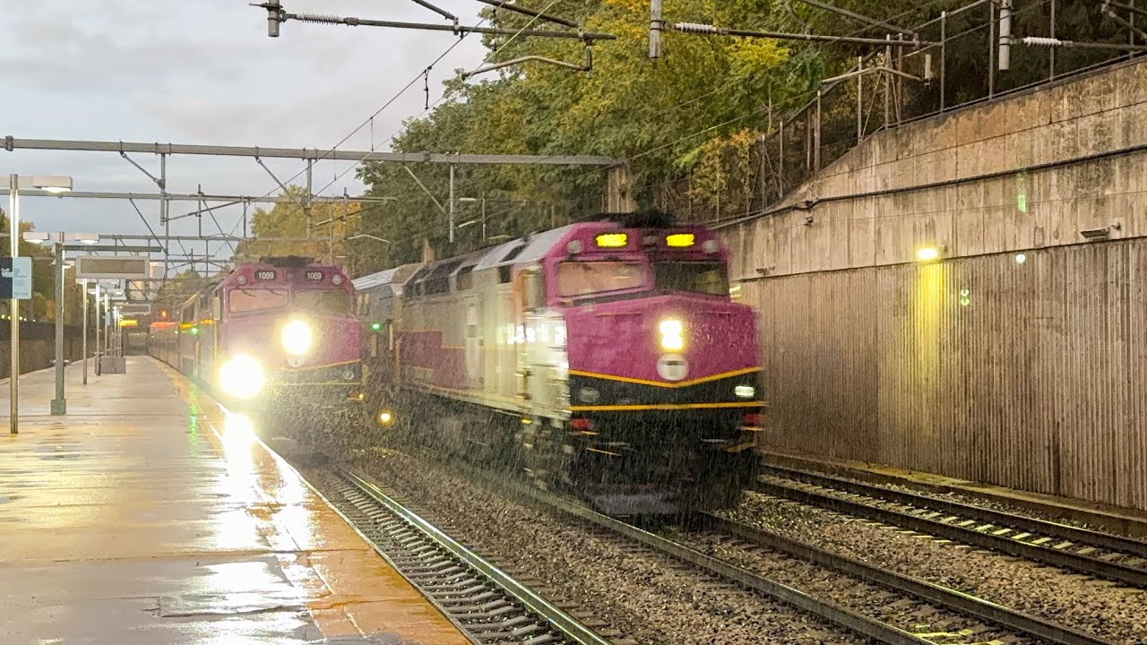 Fast Rush Hour Trains at Forest Hills! Amtrak, MBTA, Hornshows & Races!