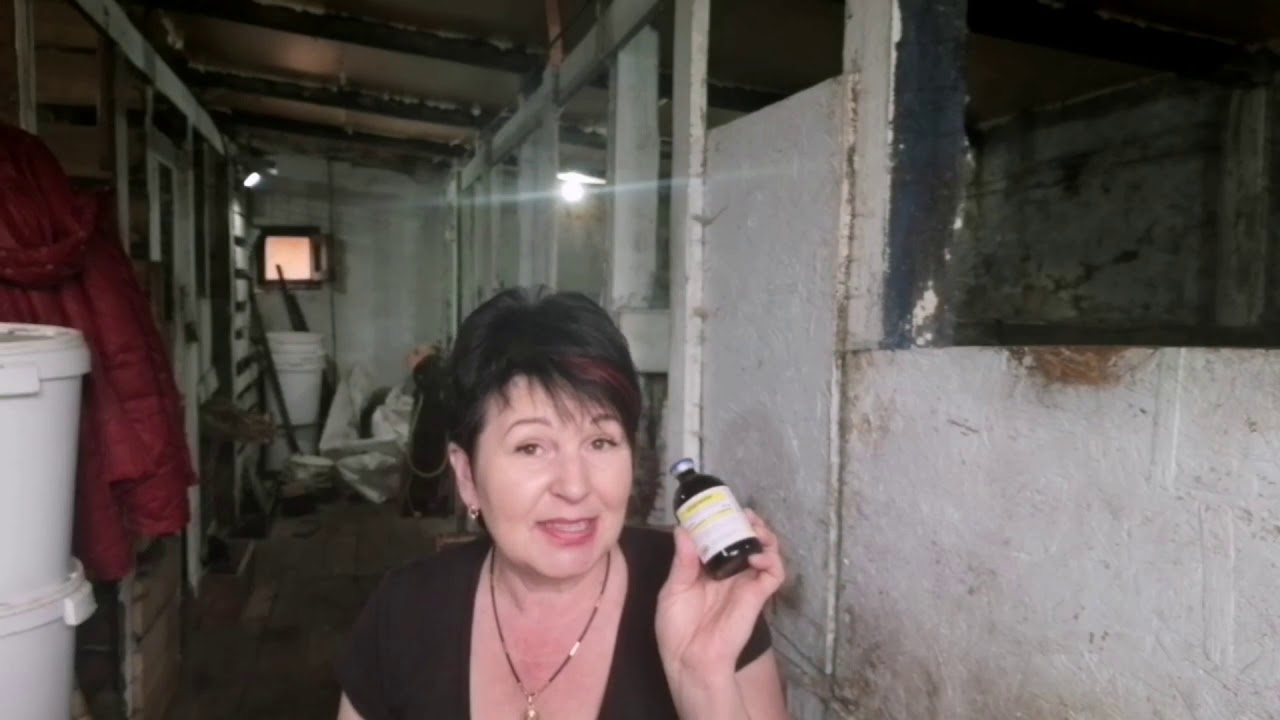 Эпримек колим козам и пьём молоко без ограничений