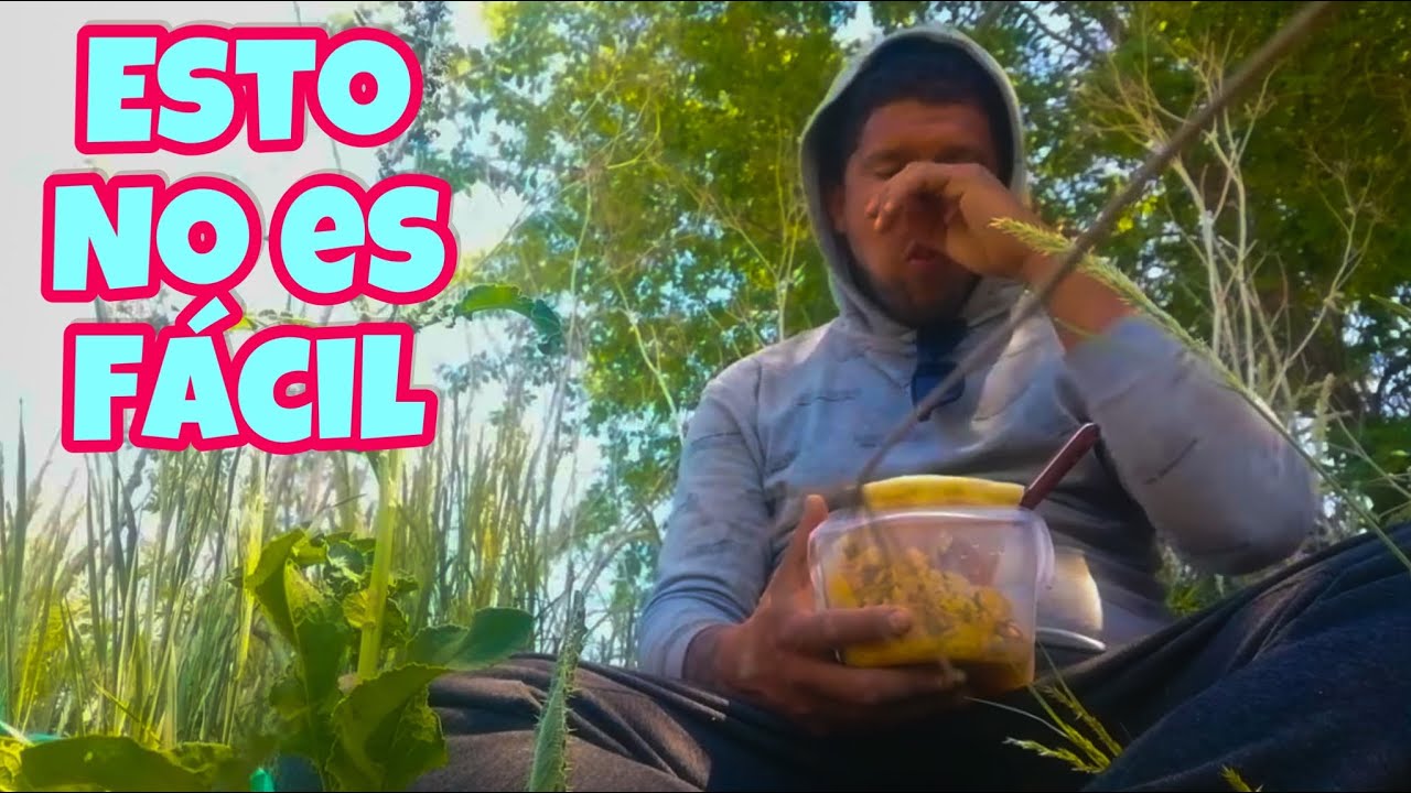 TRABAJO en el CAMPO de ESPAÑA/ trabajo sin PAPELES en ESPAÑA