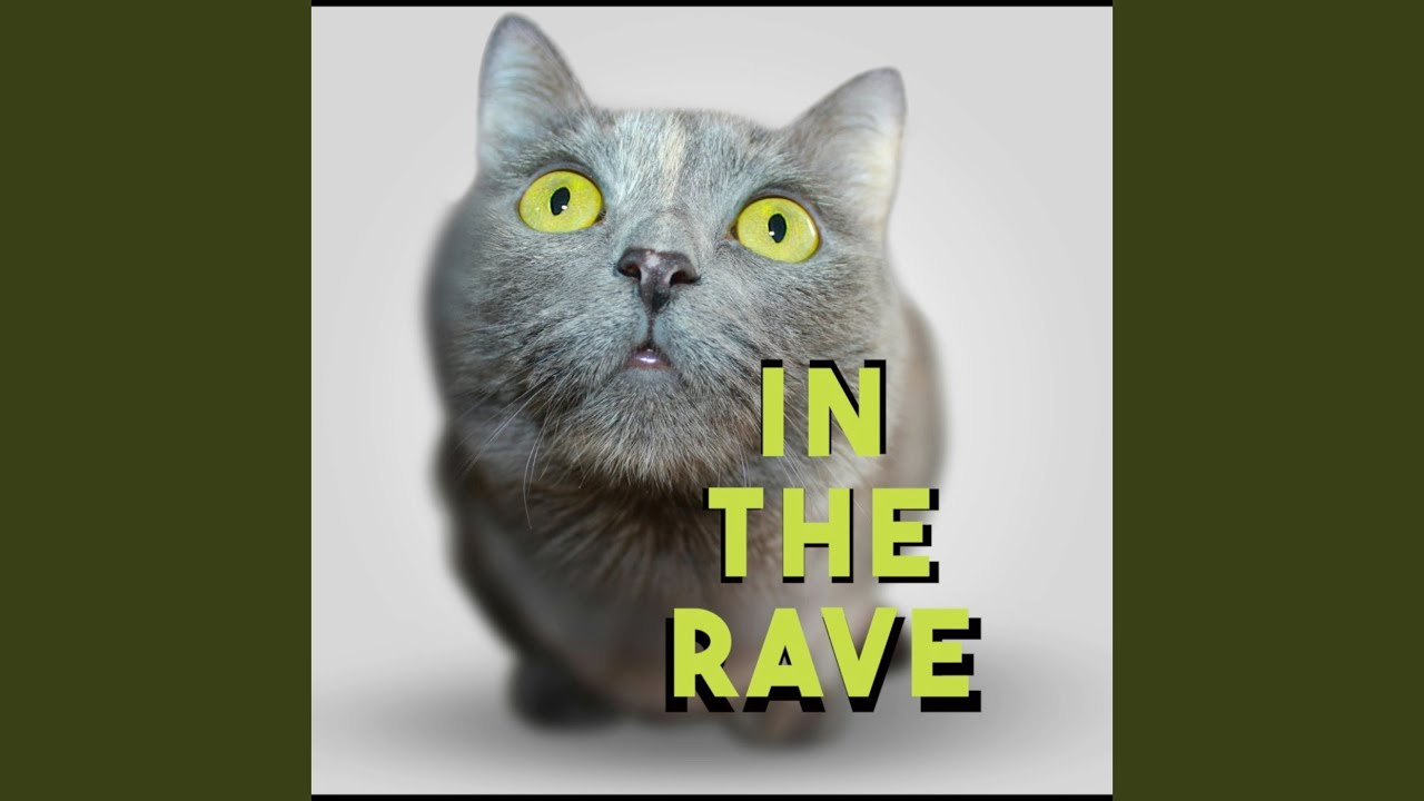 In The Rave
