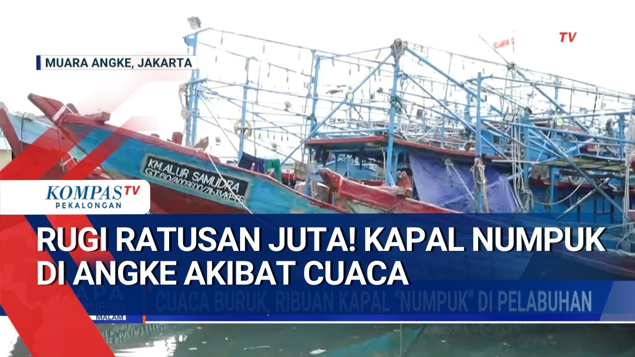 Ratusan Juta Melayang! 3 Bulan Ribuan Kapal Menumpuk di Muara Angke