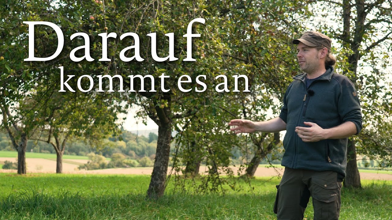 Pflege-Basics f&uuml;r die Streuobswiese: So h&auml;ltst du B&auml;ume und Wiese gesund.