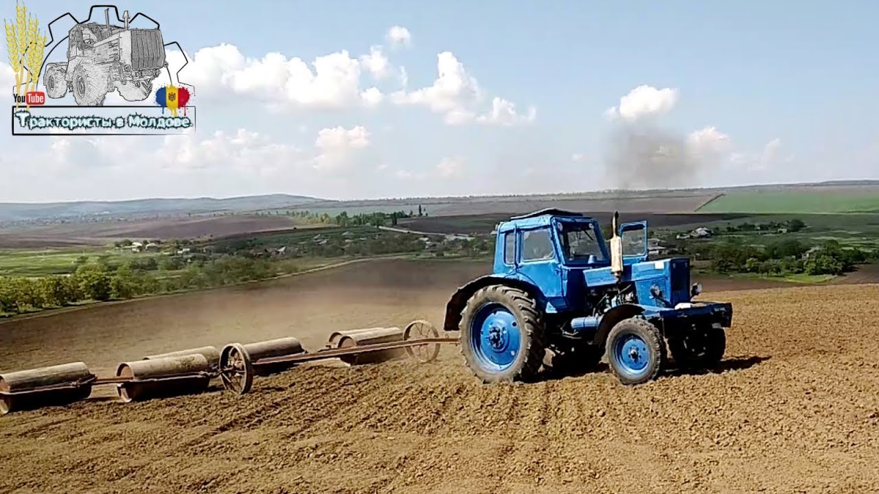Обработка земли после посева сои на тракторе МТЗ-80 /Moldova