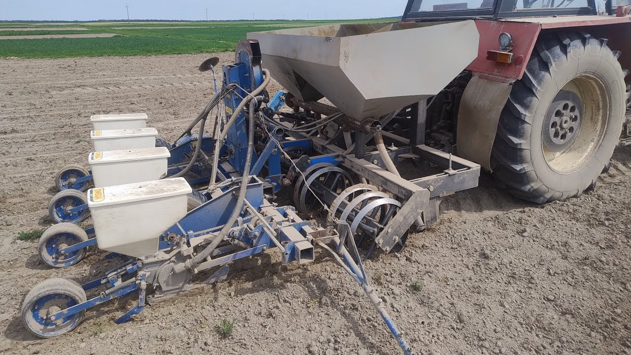 Siew kukurydzy agregatem Strip till własnej produkcji