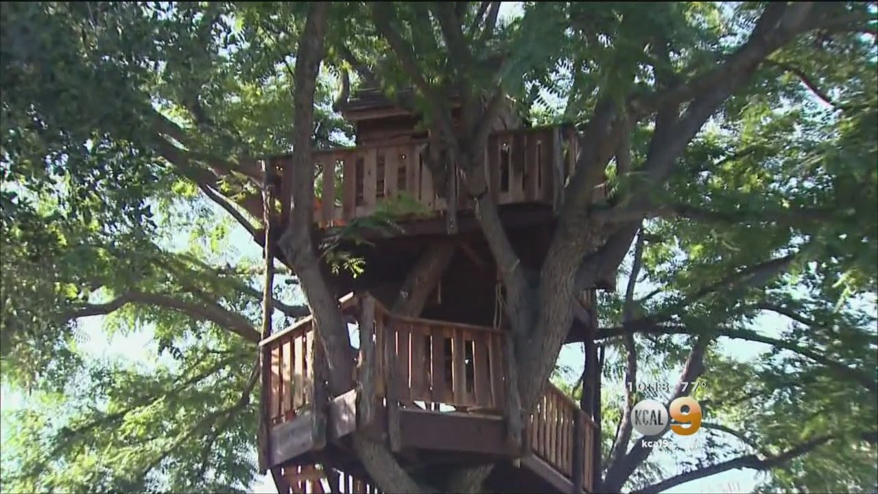 Rossmoor Family Thrilled They Get To Keep 3-Story Treehouse After Being Ordered To Remove It