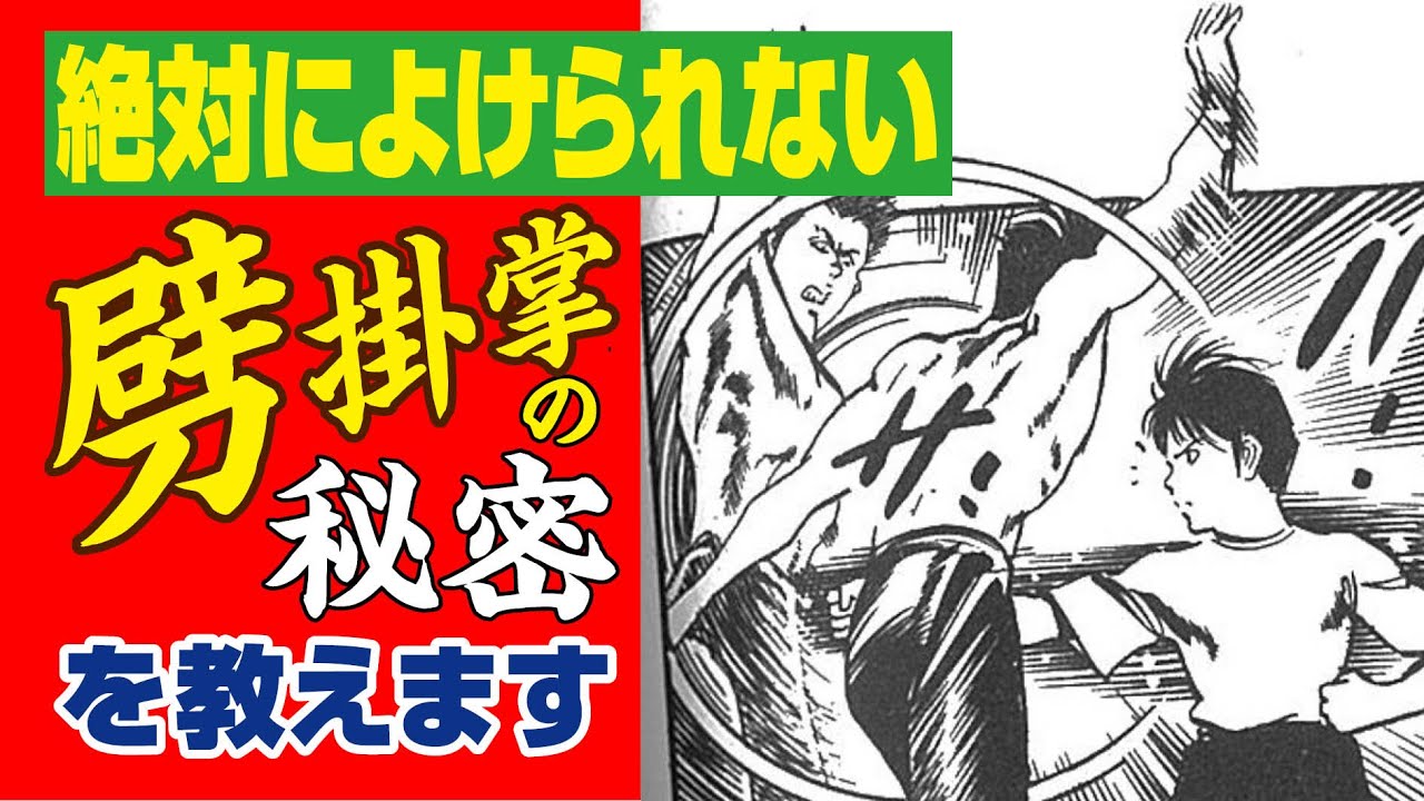 絶対によけられない劈掛拳の秘密を教えます　BUDOラボ武壇劈掛掌