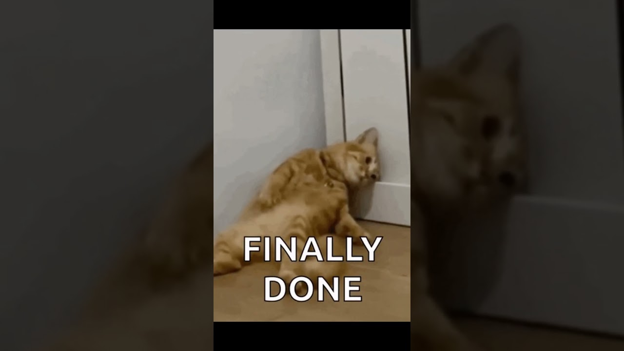 finaaaalllyyyy     