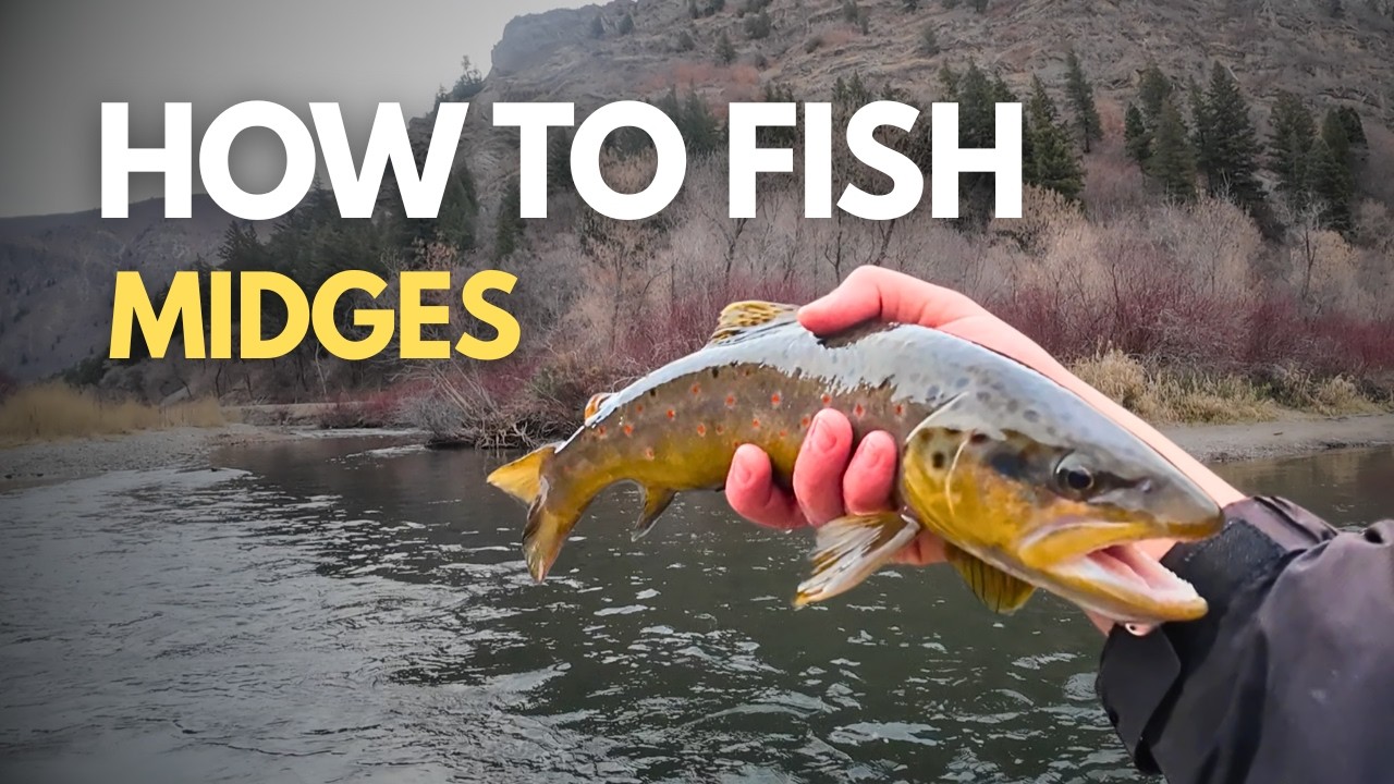 The Secret to Catching More Trout on Midges!