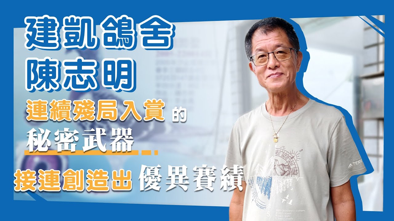 專訪【建凱鴿舍 陳志明】連續殘局入賞的秘密武器｜接連創造出優異賽績！ #建凱鴿舍 #陳志明 #修斯肯鴿系 #戈登 #祕包 #詹森 #凡布利安娜 #種鴿 #養鴿 #賽鴿 #2100賽鴿王