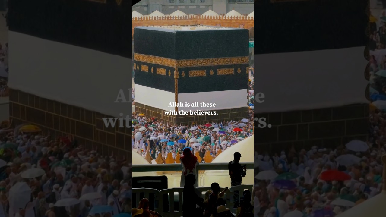 Allah will never disappoint those who believe 🙂🖤 #Allah #quotes #quddusrsa #foryou #motivation #fyp