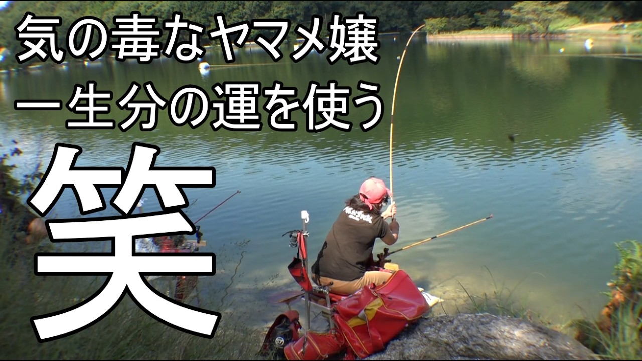 『千代田湖』爆発したヤマメ嬢