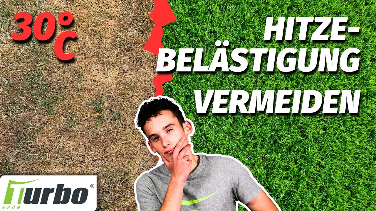 5 Tipps für einen grünen Rasen im SOMMER | die BESTE Rasenpflege bei Hitze und Trockenheit