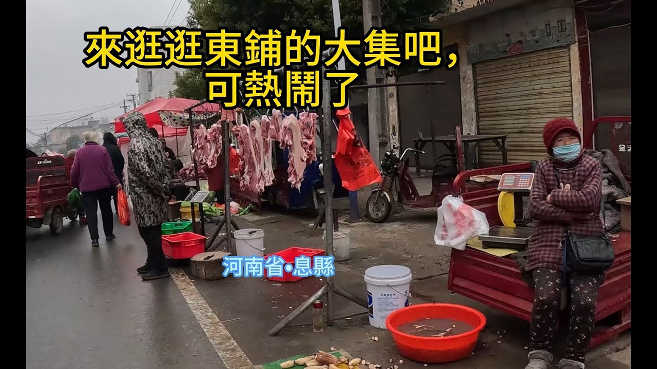 來息縣東鋪鎮逛逛集市，看到小狗想養一隻
