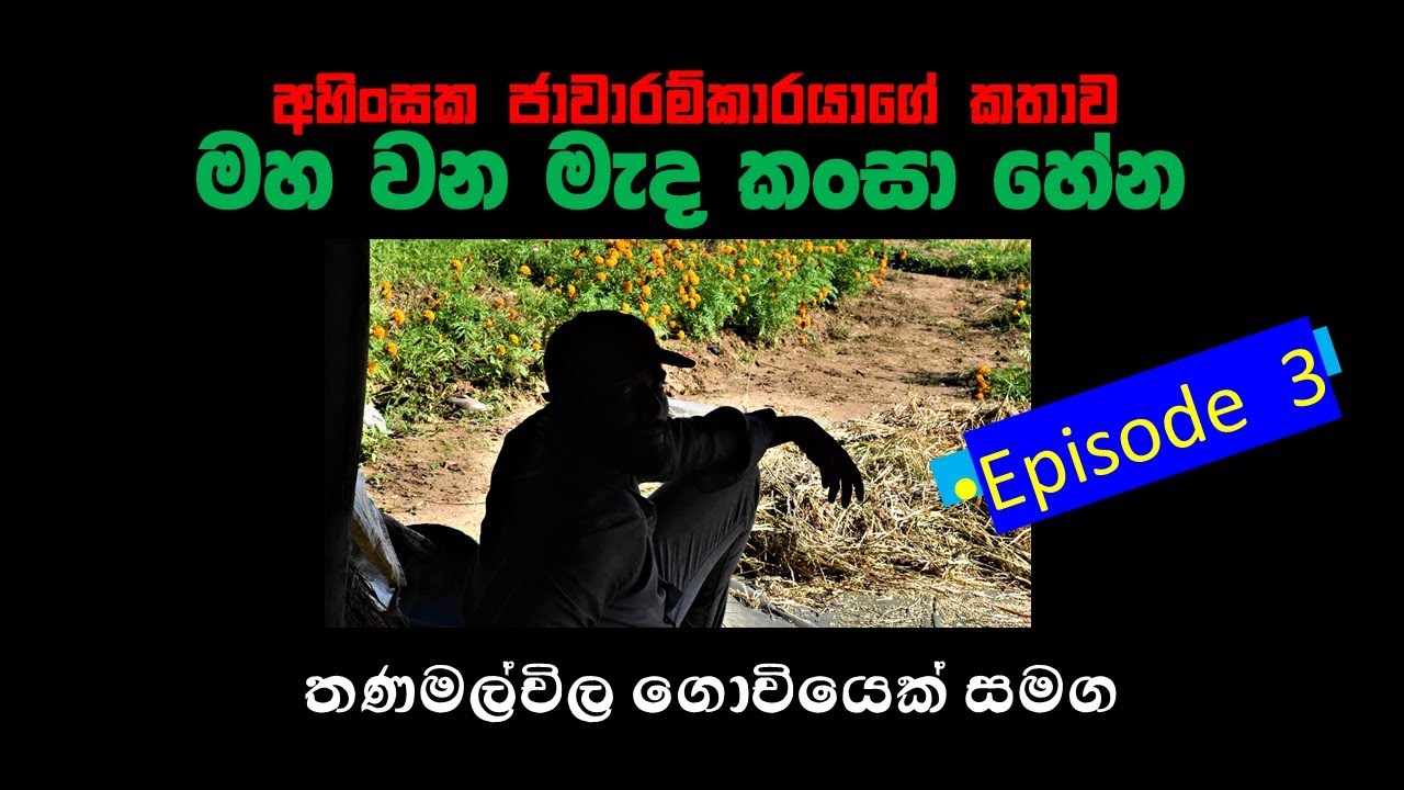 Thanamalvila farmer