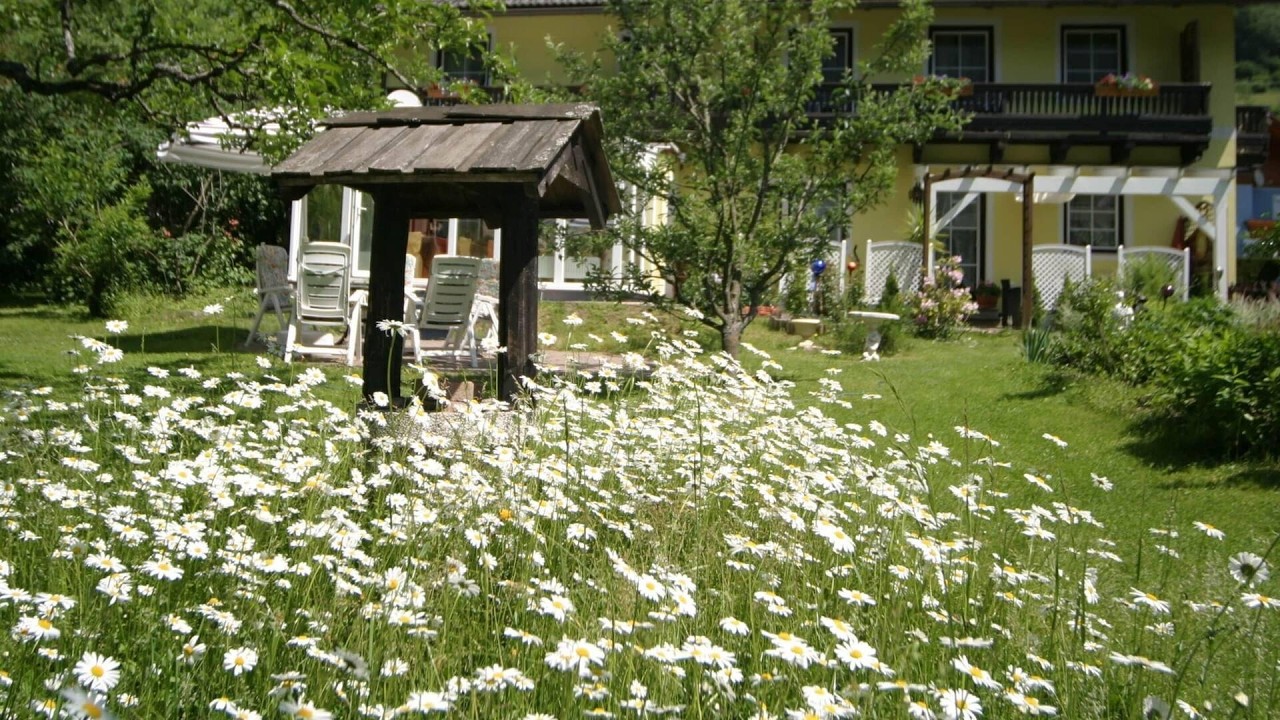 Apartment in Feld am See by Brennsee Lake, Austria | Travel With Siya