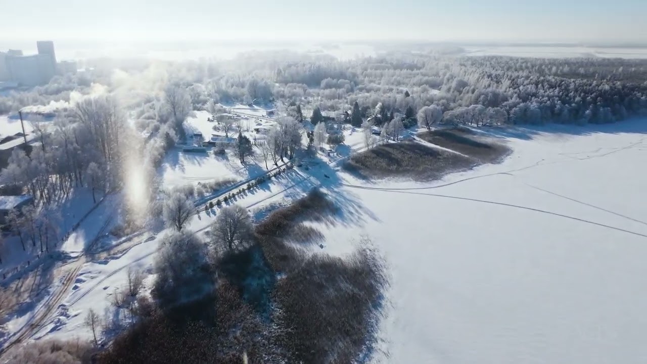 Rėkyvos ežeras žiemą. -20°C 2026-02-01. Rėkyva lake in winter. (4K)