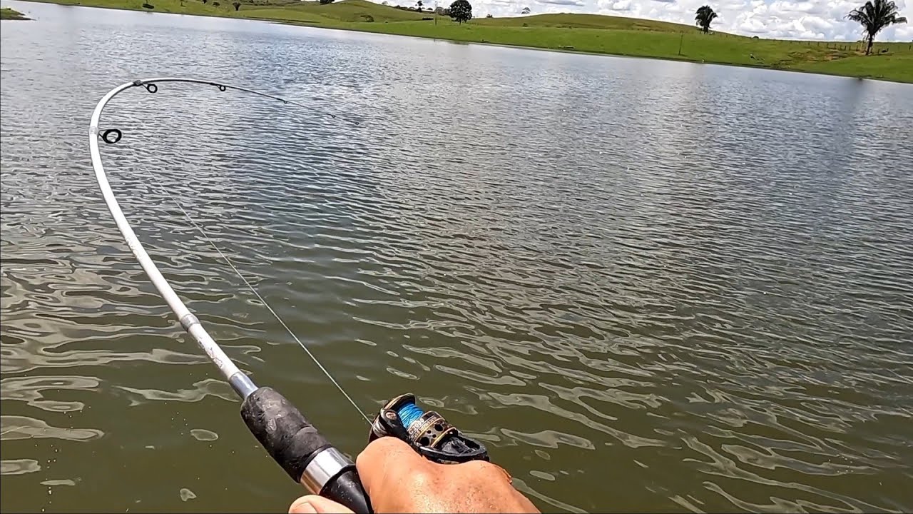 Pescaria de TAMBAQUI. Cada fisgada o coração vai a 1000. #pesca 
