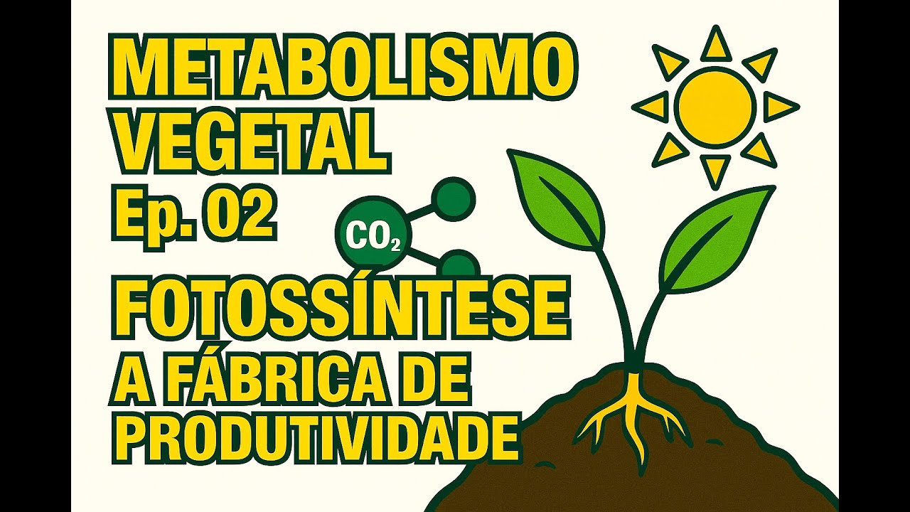 Metabolismo Vegetal – Ep. 02: Fotossíntese - A Fábrica de Produtividade
