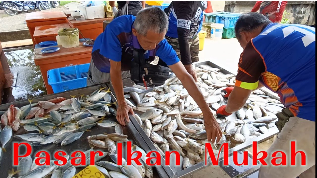 Pasar Ikan Mukah || Ketibaan Perahu Tangsi || Pelbagai Jenis Ikan Dijual