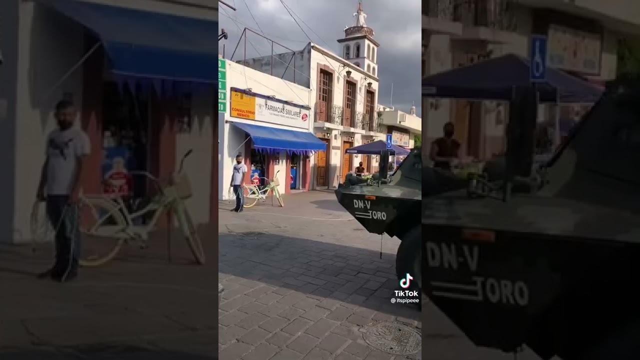 AMX VCI y DN-V Ejército Mexicano