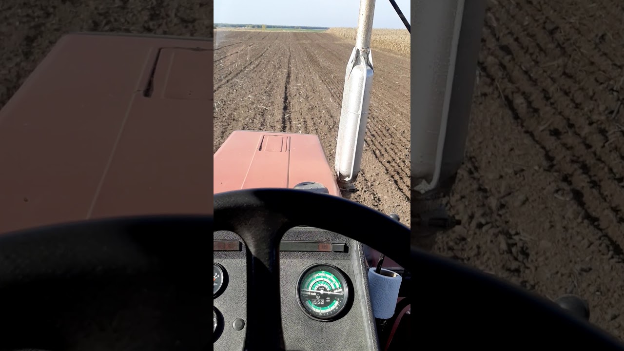 B&uacute;za  vet&eacute;s  MTZ  952.  IH 6200.