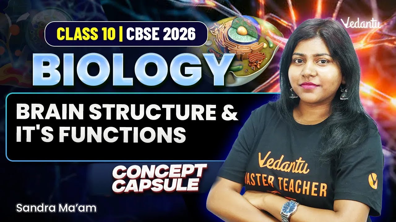 Brain Structure and it's functions | Concept Capsule  | Class 10 Biology | CBSE 2026 | Sandra Ma'am