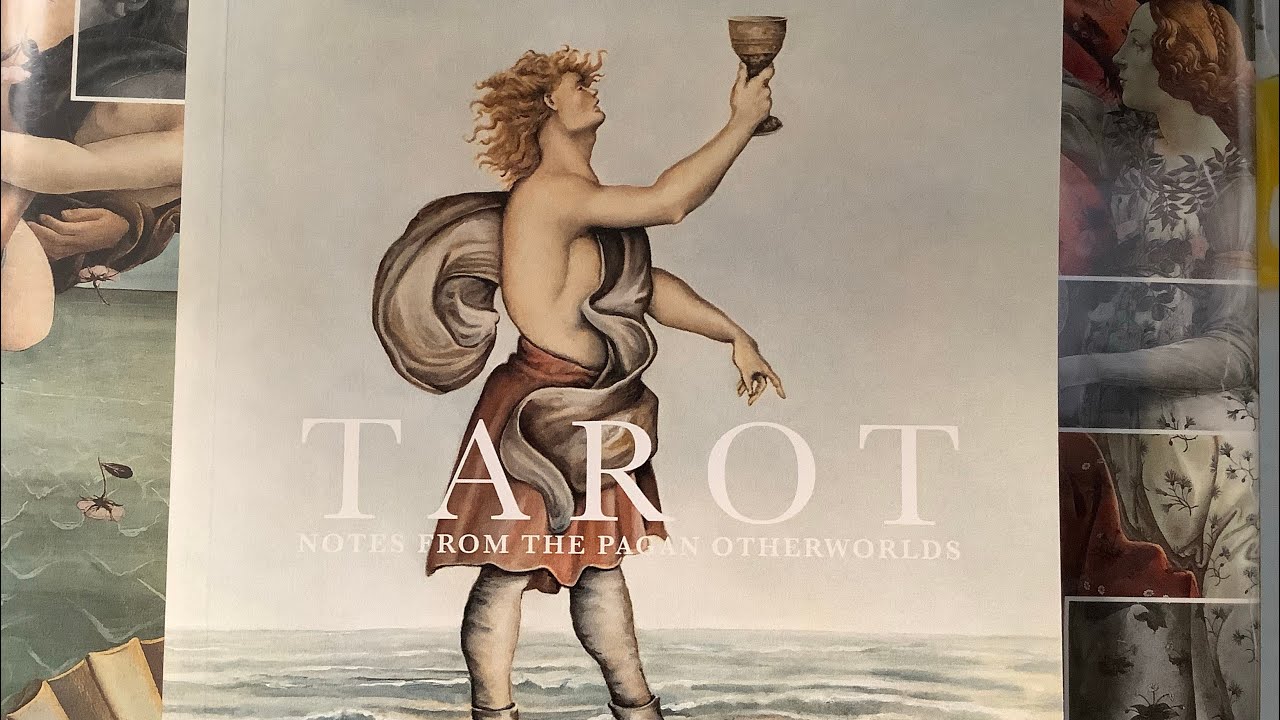 Pagan Otherworlds Tarot Guidebook Silent Flipthrough