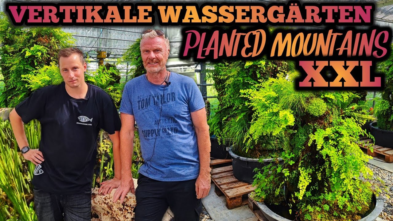 Vertikaler WASSERGARTEN - XXL Planted Mountain | GRÜN KREATIV