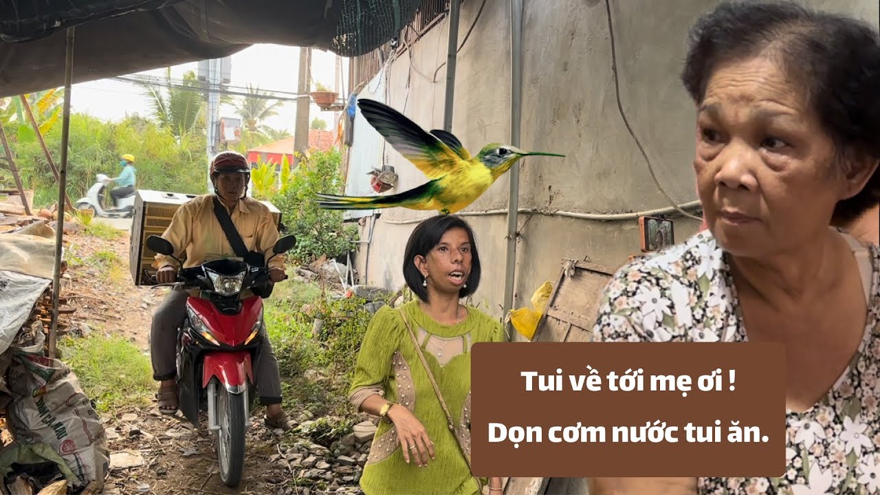 Hồi hợp - Chim Sâu về ở với mẹ chồng với điều kiện mẹ chồng phải nấu cơm giặt đồ.