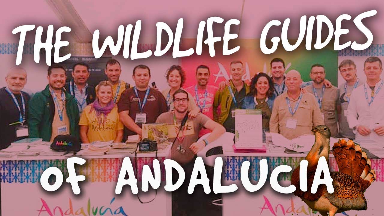 ▷ The Wildlife guides of South Spain