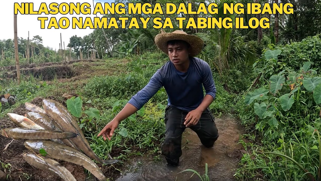 PINURWESYO ANG ILOG SAAMIN LUGAR NILASONG