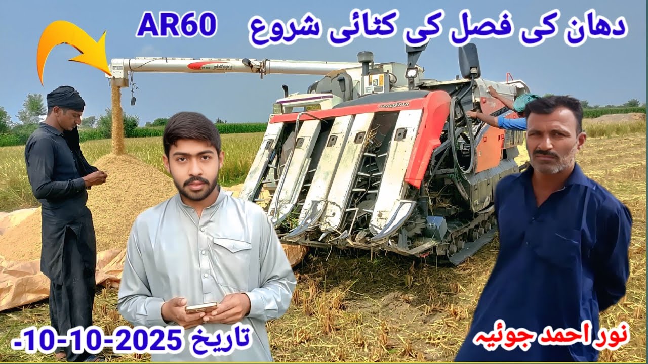 AR60 Meri Dhan ke# fasal ki# katai sheru Nadeem Joyia Barend