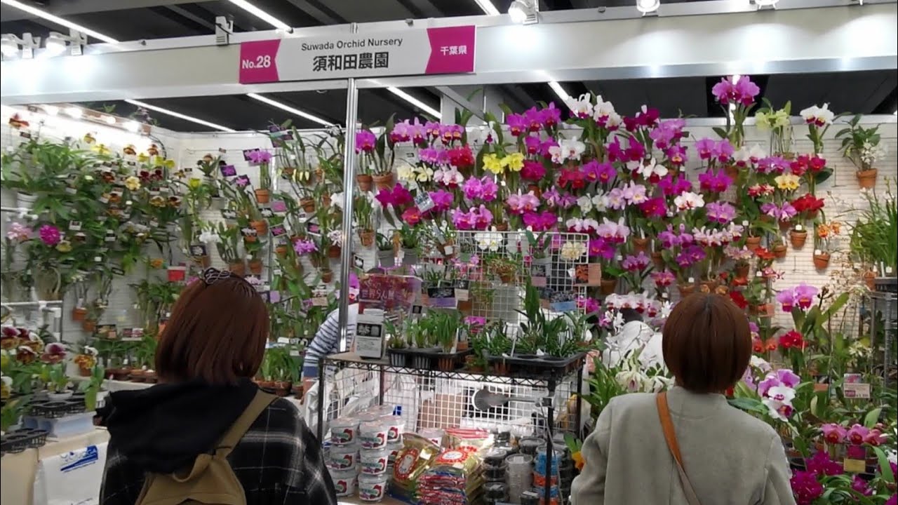 Всемирная выставка орхидей SUWADA ORCHIDS & BREEDERS, продавцы растений, выставка орхидей и цвето...
