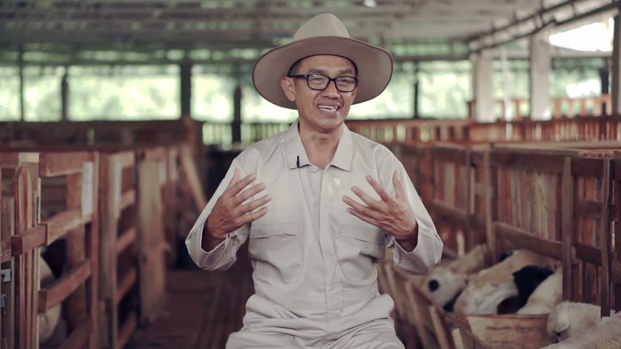 AJ Wonderfarm Tempat Pembelajaran Ternak Domba Modern Bagi Mahasiswa dan Masyarakat